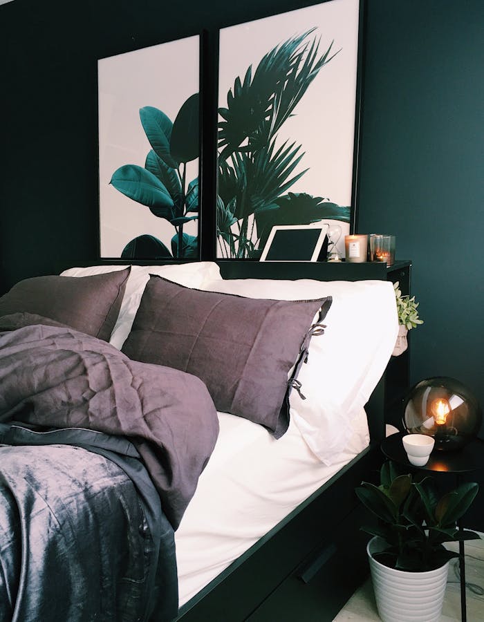 our-story A stylish and cozy bedroom featuring green walls, botanical prints, and soft lighting for a contemporary feel.